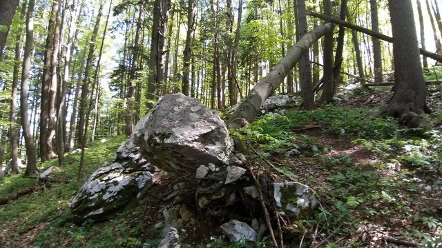 031.jpg