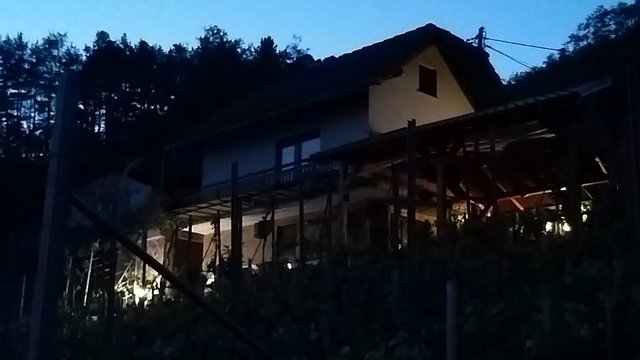 004-001.jpg