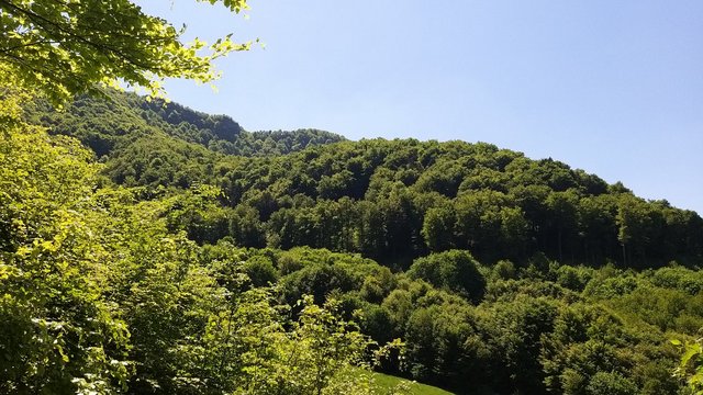 031.jpg