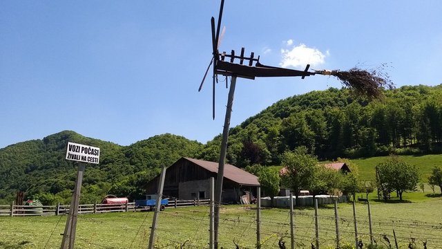 040.jpg