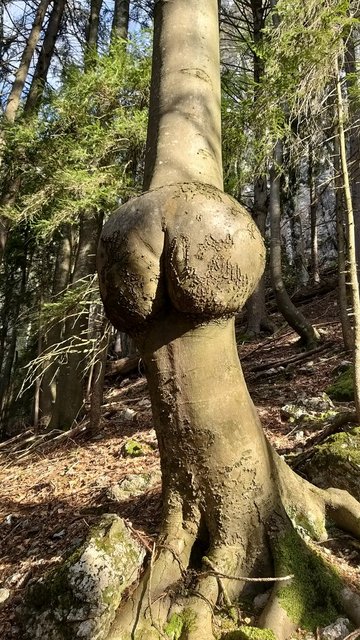 015.jpg
