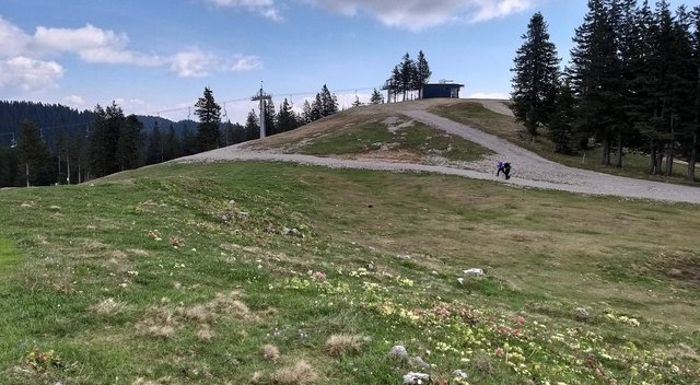 082.jpg
