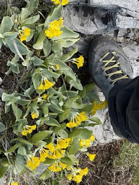 IMG_008632.JPG