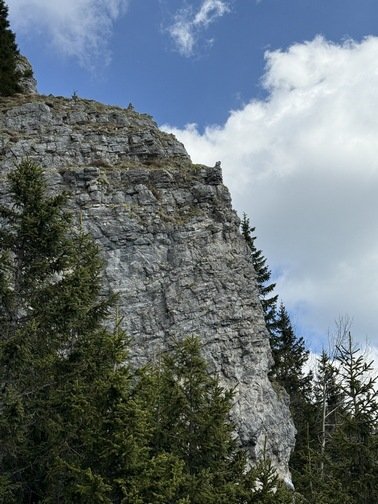 IMG_008656.JPG