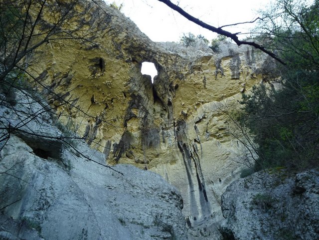 DSC00439.JPG
