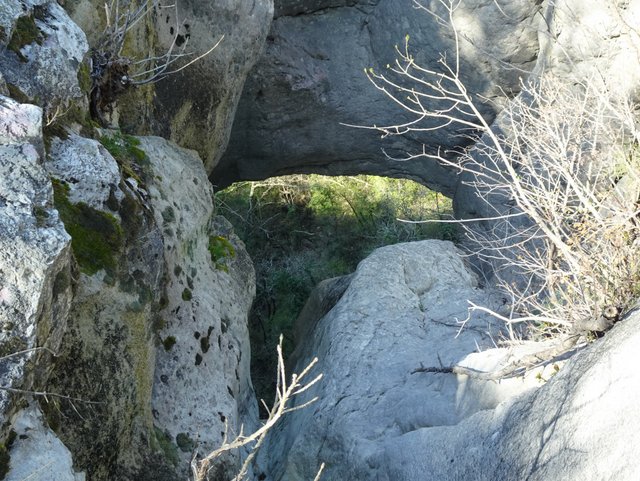 DSC00457.JPG