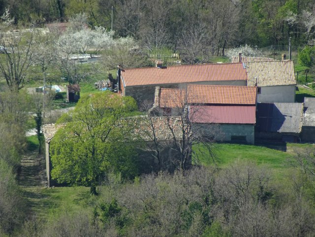 DSC00473.JPG