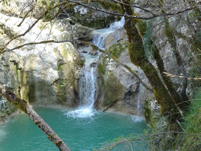 DSC00517.JPG