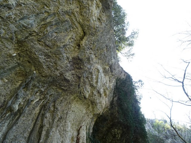 DSC00556.JPG