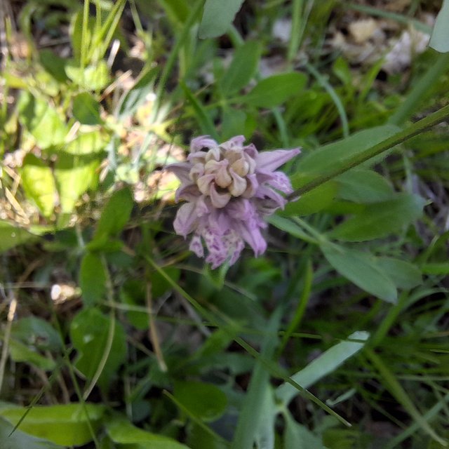 20250501_112538.jpg