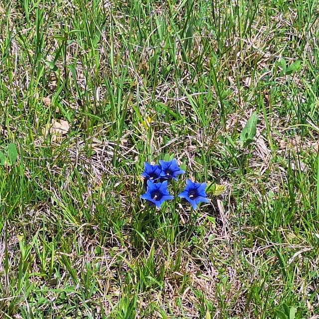 20250501_114434.jpg
