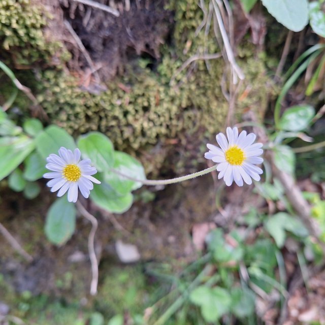 20250501_131538.jpg