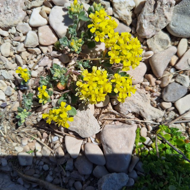 20250429_110226.jpg