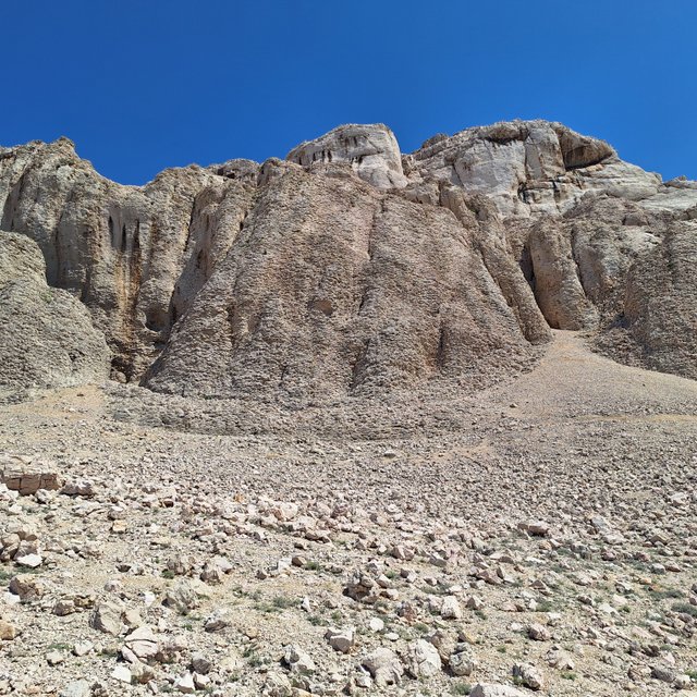 20250429_113541.jpg