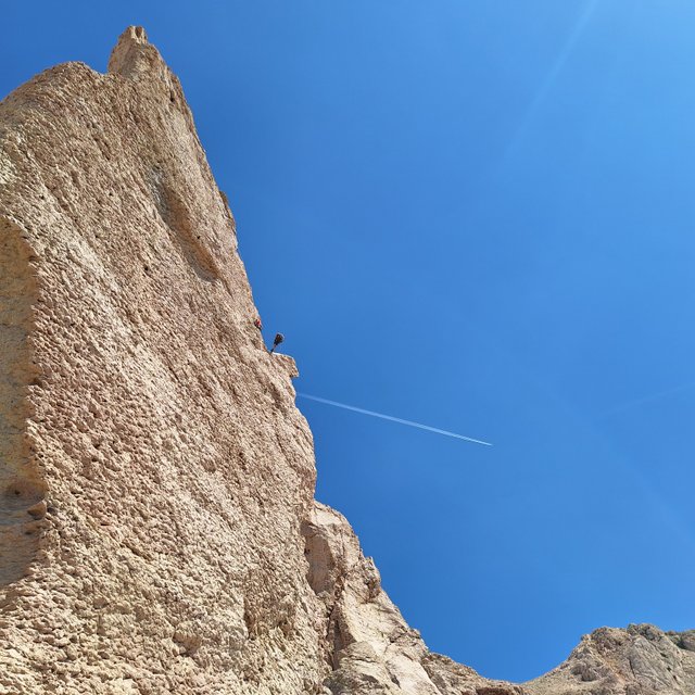 20250429_113910.jpg