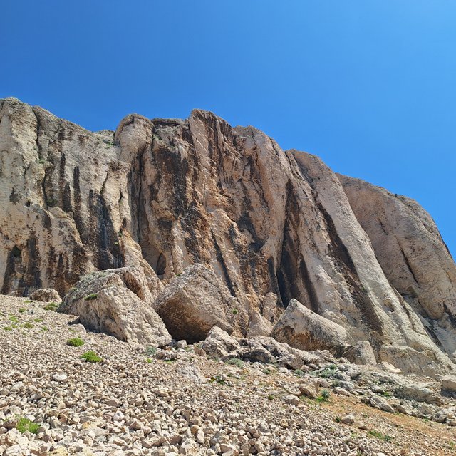 20250429_115703.jpg