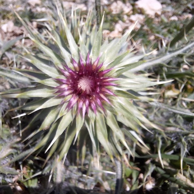 20250429_120659.jpg