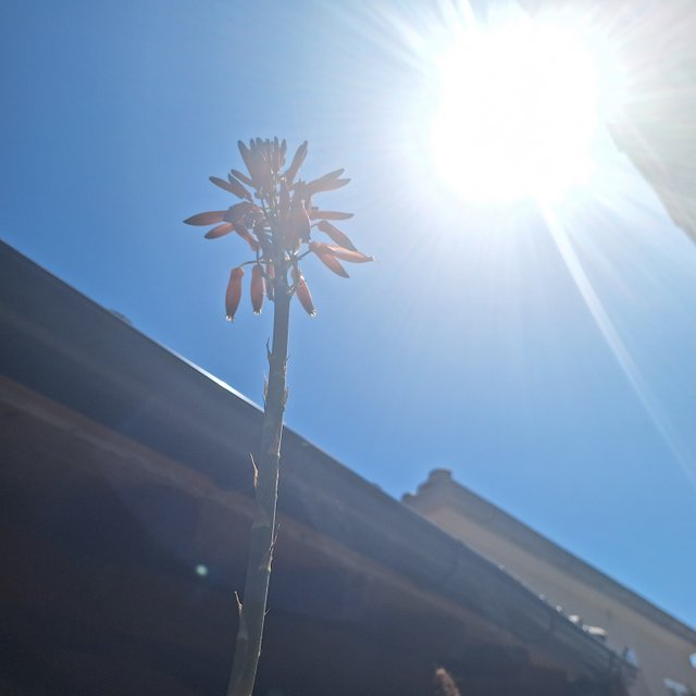 20250428_111922.jpg