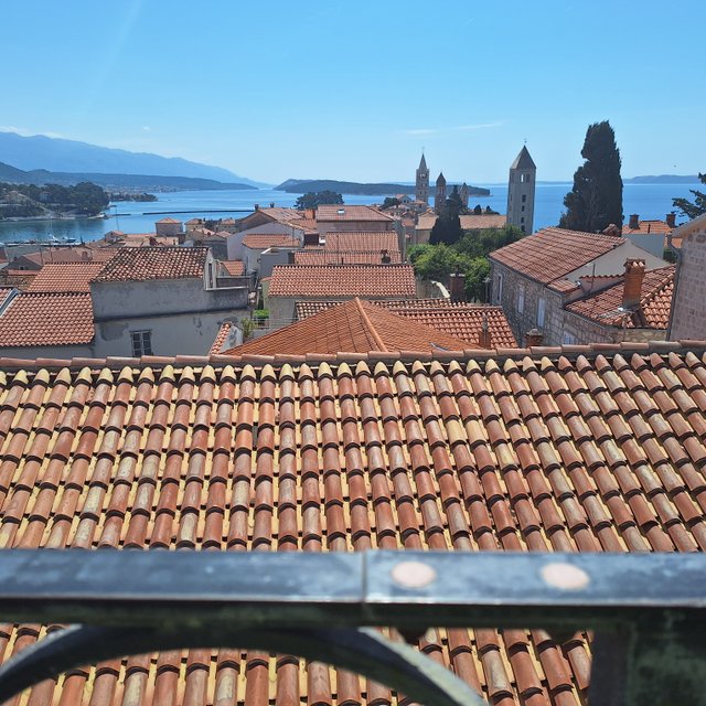 20250428_114554.jpg