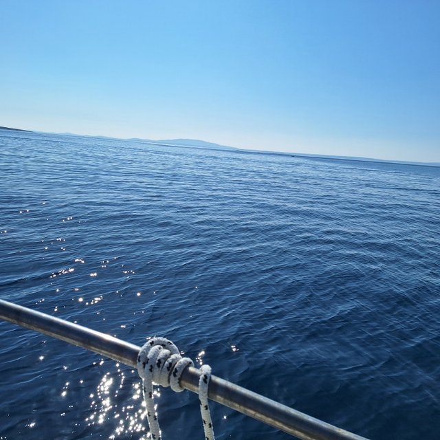 20250428_162745.jpg