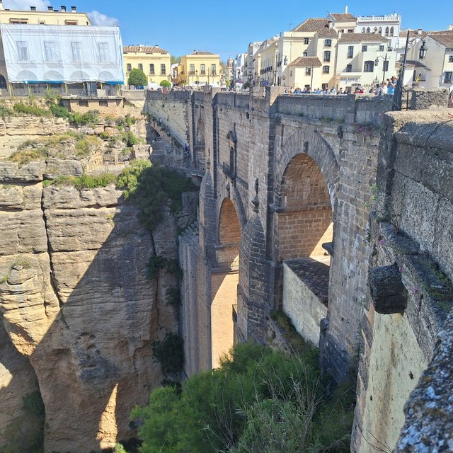 20250514_111332.jpg