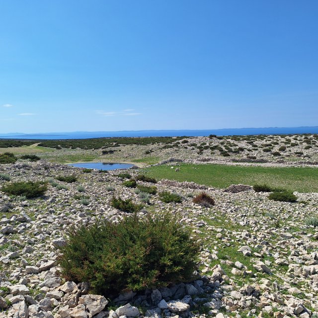20250427_111517.jpg
