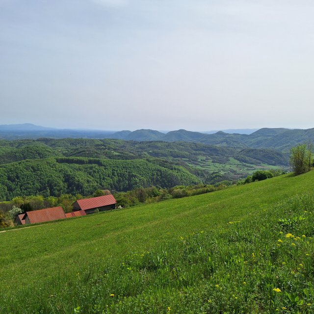 20250421_110819.jpg