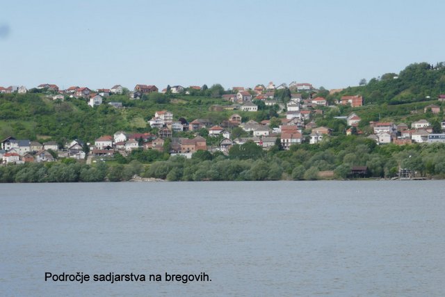 P1140648.JPG