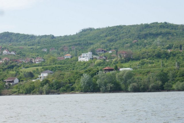 P1140649.JPG
