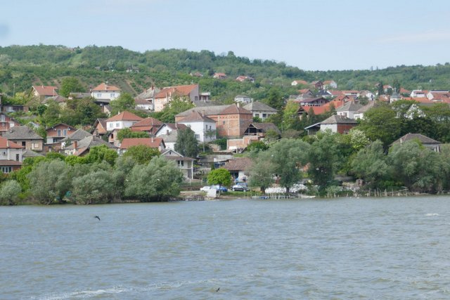 P1140650.JPG
