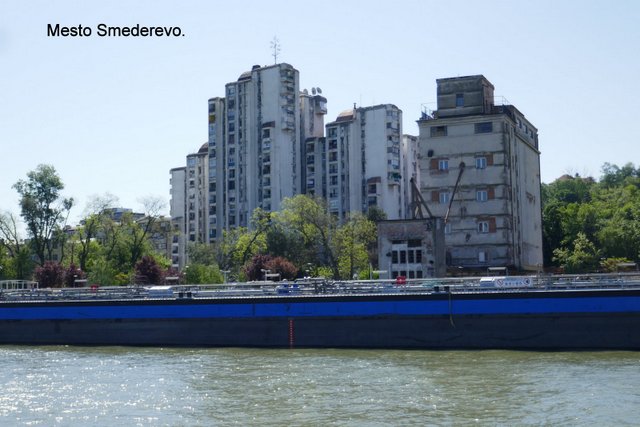 P1140659.JPG