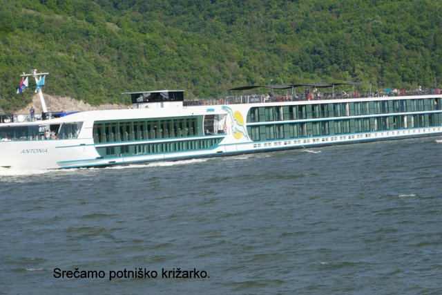 P1140710.JPG