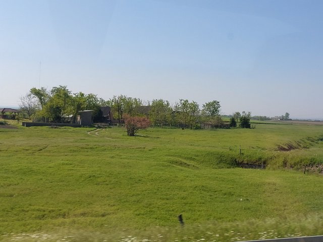 20250501_092511.jpg