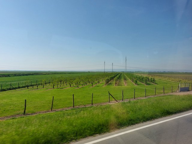 20250501_093223.jpg