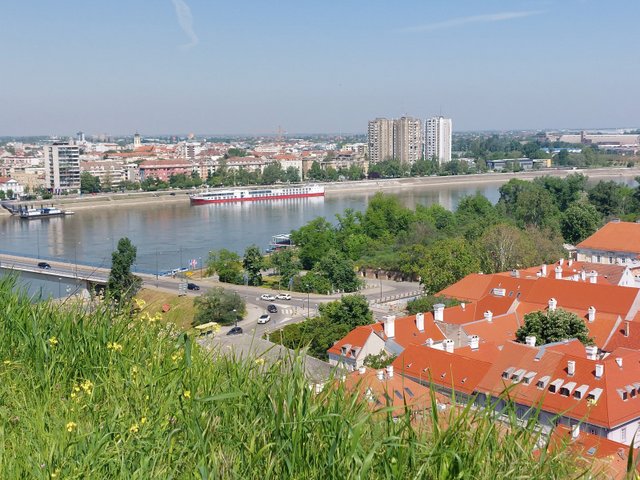 20250501_102350.jpg