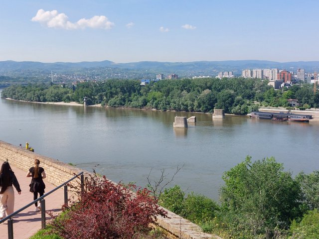 20250501_102539.jpg