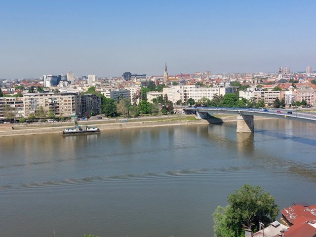 20250501_102637.jpg