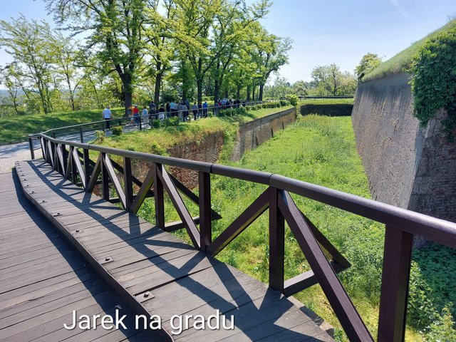 20250501_105355.jpg