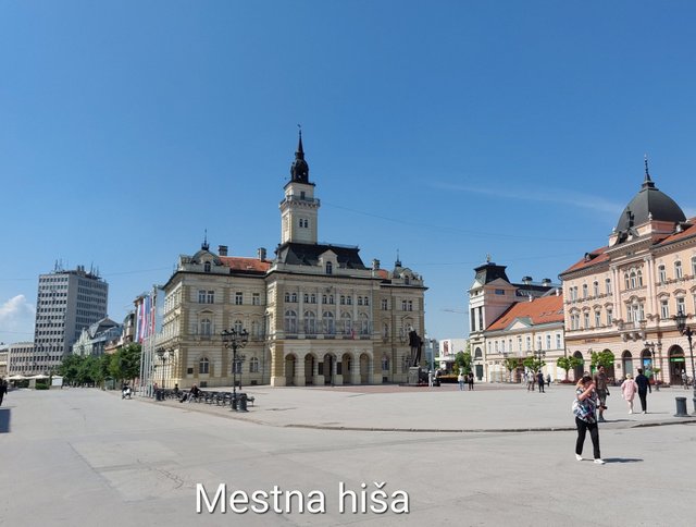 20250501_113649.jpg