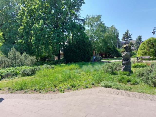 20250501_115642.jpg