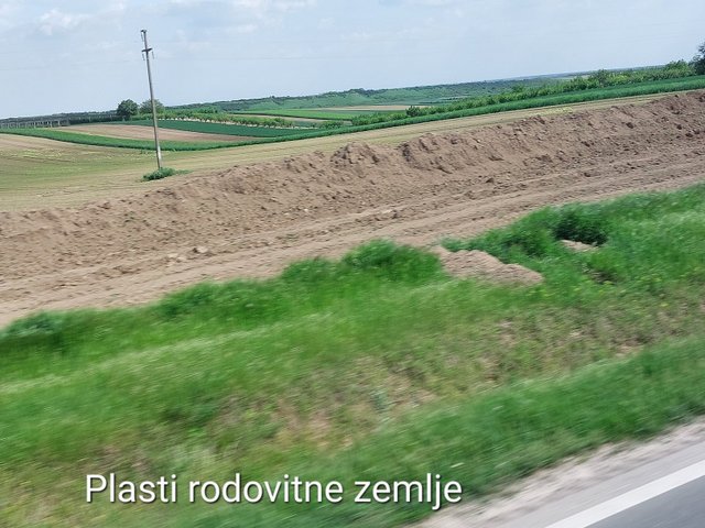 20250501_145007.jpg