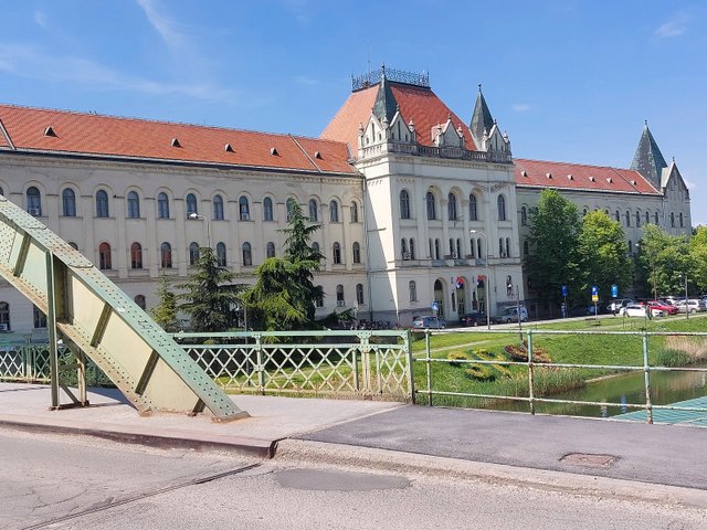 20250430_110447.jpg