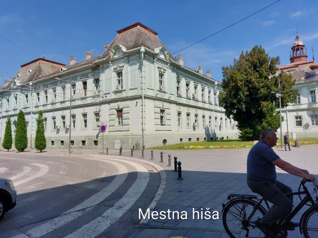 20250430_110810.jpg