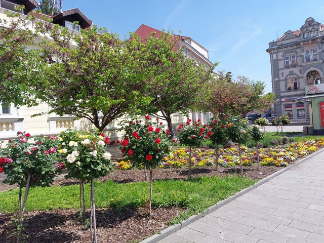 20250430_113034.jpg