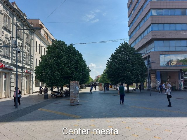 20250430_113125.jpg