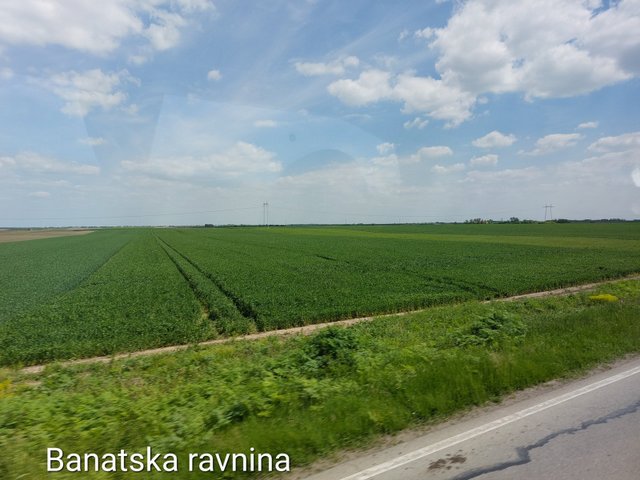 20250430_125604.jpg