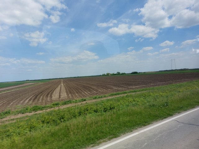 20250430_125623.jpg