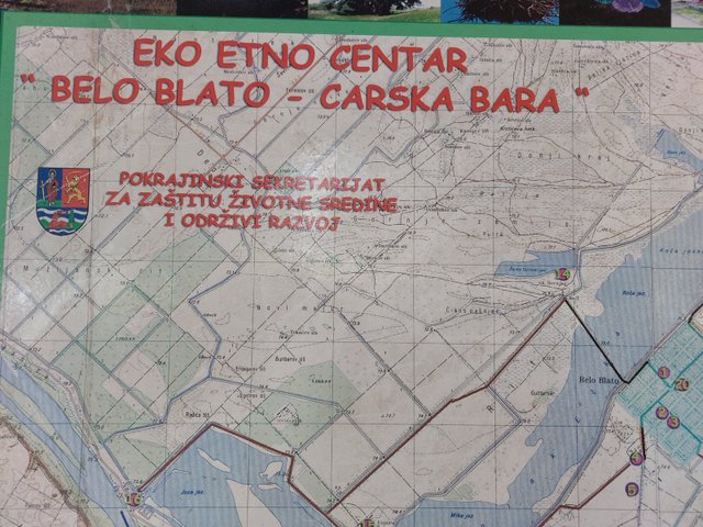 20250430_144842.jpg