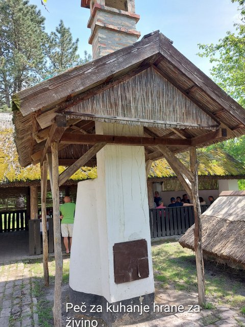 20250430_144951.jpg