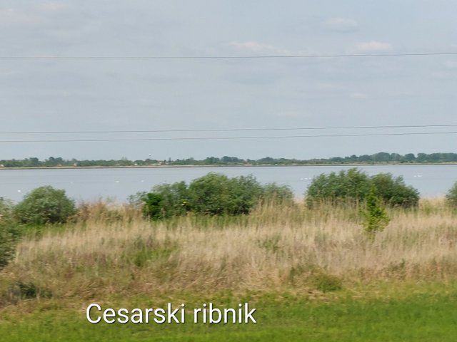 20250430_155153.jpg